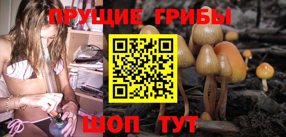 Галлюциногенные грибы прущие грибы  даркнет сайт  Киселёвск 