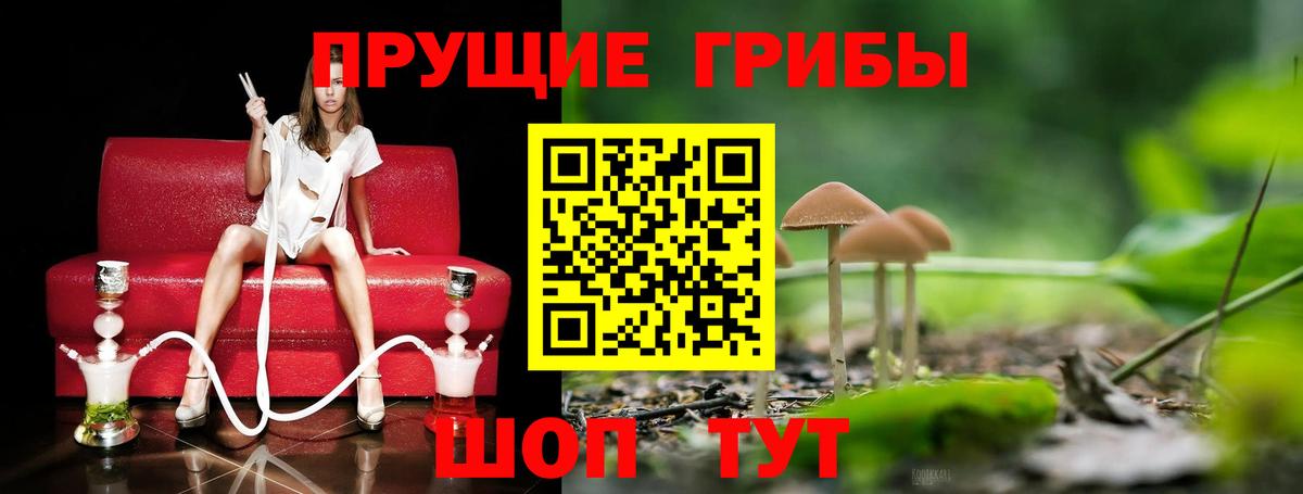 Галлюциногенные грибы ЛСД  Вход с VPN  Киселёвск  Псилоцибиновые грибы мицелий 